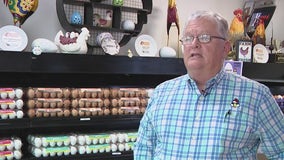 How bird flu impacts egg production, distribution