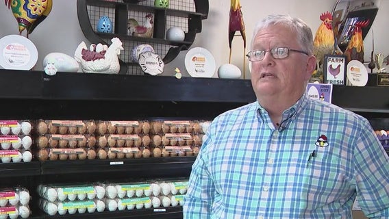 How bird flu impacts egg production, distribution