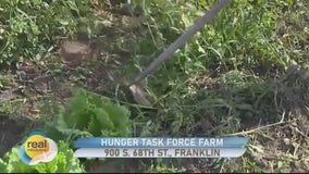 Weeding at the Hunger Task Force Farm