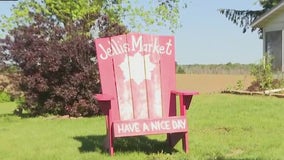 Picking strawberries and more at Jelli's Market