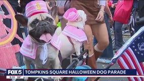 No tricks, just treats: Costumed pups take over Tompkins Square Park