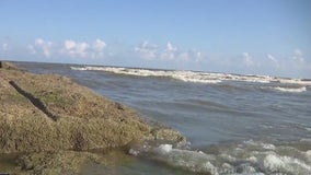 Dickinson woman, 20, drowns in Galveston