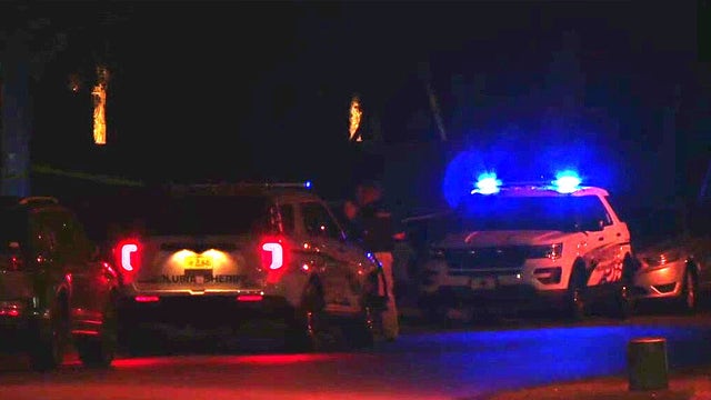 Dogs attack, kill 8-year-old boy near DeLand, sheriff says: 'Tragedy beyond comprehension'