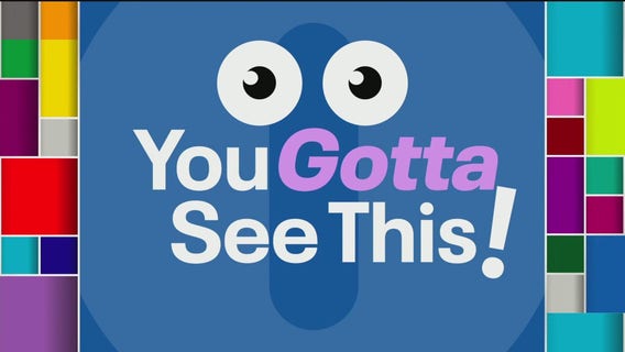 YOU GOTTA SEE THIS: Bear scratches itch