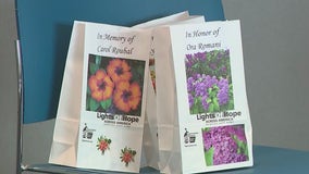 Emory students host ‘Lights of Hope’ cancer remembrance event