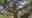 Austin Travels highlights local hiking trails