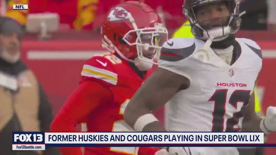 Former Huskies, Cougars playing in Super Bowl