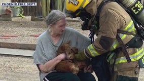 Dogs and cats rescued from Phoenix mobile home fire