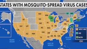 Deadly mosquito-borne viruses pose warnings