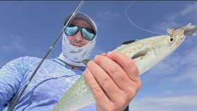 Friday Fishing Report: October 31, 2025