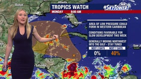 Tropical disturbance to bring rain to Florida