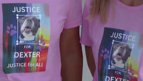 New laws taking effect July 1