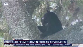 Bear advocates buy permits to save animals ahead of hunt