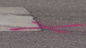 Eden Prairie police still looking for driver from hit-and-run