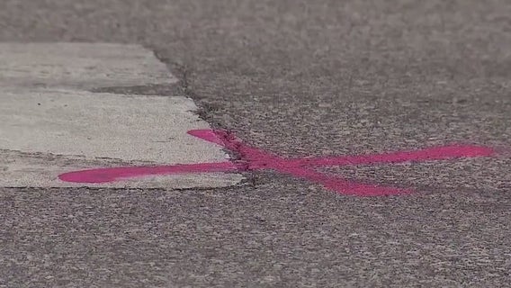 Eden Prairie police still looking for driver from hit-and-run