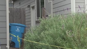 2 arrested in Santa Rosa shooting that left woman, dog dead