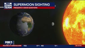 Tuesday night forecast