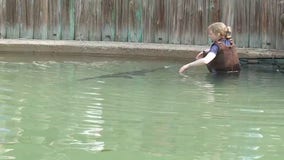 DNR stocks fish pond at Minnesota State Fair