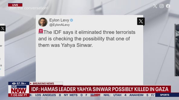 IDF: Hamas leader possibly killed in Gaza