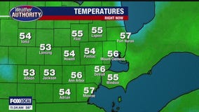 FOX 2 News Live at 11