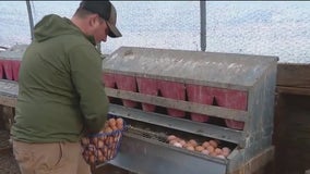 Local farm provides fresh food to veterans facing food insecurity