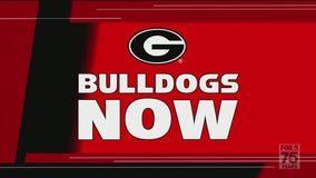 Bulldogs Now