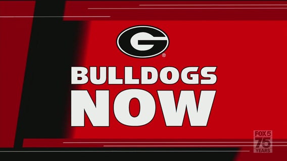 Bulldogs Now