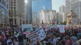 Protests shut down Chicago streets ahead of DNC