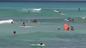 Hawaii issues health warning for tourists
