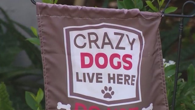 Volusia County dog attack: 5-month-old boy killed by 130-pound dog on mother's birthday, sheriff says