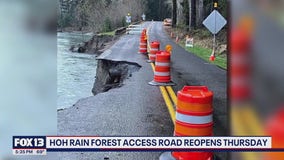 Hoh Rainforest Road reopens Thursday after months of repairs