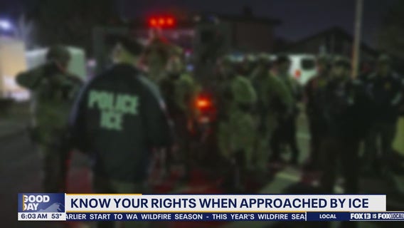 Know your rights when approached by ICE