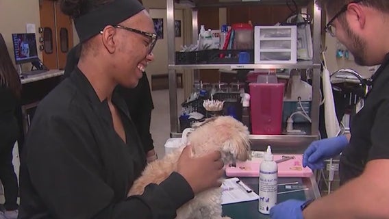 Students learn about being a veterinarian