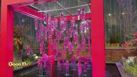 Good Day Uncut: LIVE from The Philadelphia Flower Show