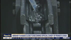 Hershey's kisses could become official candy of Pennsylvania