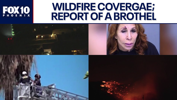 Chandler child pulled from pool; tree trimmer dies | Top stories