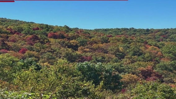 Fall leaf watch: Oct. 16, 2025