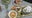 Good Day Cooks: Dish Society