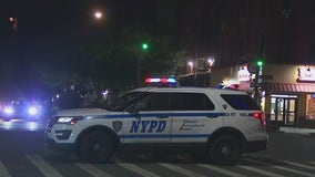 Girl, 3, fatally struck by car in NYC