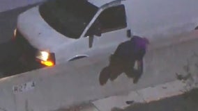 Man dies after getting hit by freeway traffic