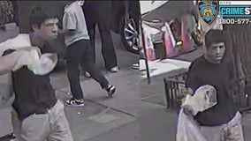 2 elderly women attacked in separate incidents in NYC