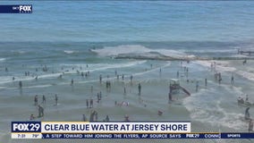 Why is the water at the Jersey Shore so crystal clear lately?