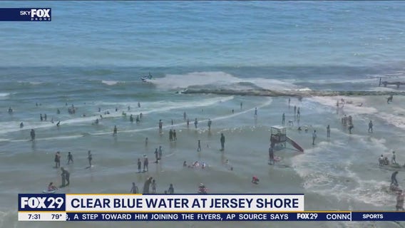Why is Jersey Shore water so crystal clear lately?