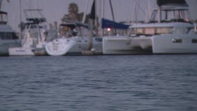 Tsunami activity in west U.S., record-breaking heat, and more Forecasting With Friends