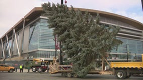 City of Milwaukee Christmas tree arrives at Fiserv Forum