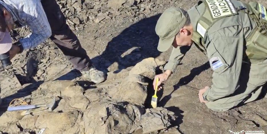 Fossil of prehistoric marine reptile discovered in Argentina field