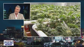 Shutdown showdown & Proposed Michigan cannabis tax hike