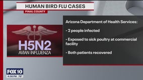 Bird flu: 1st human cases reported in Arizona