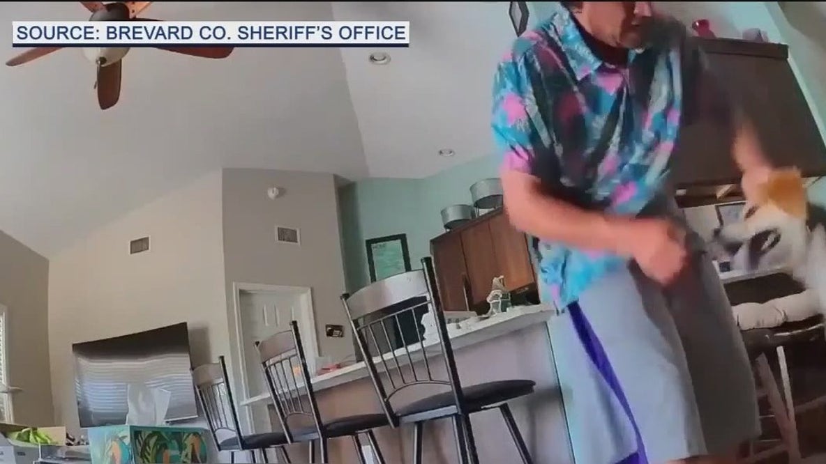 Man charged with animal cruelty after video surfaces