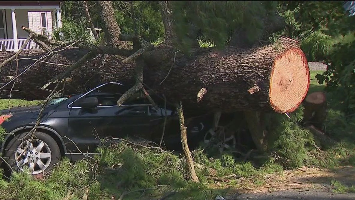 Severe storms leave 3 dead in New Jersey